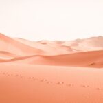 Follow The Footsteps