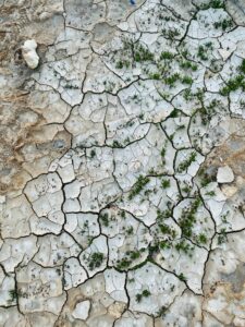 biju-antony-v-mC87YRtQV8g-unsplash