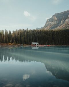 dave-herring-6nnKjJ-fAIc-unsplash